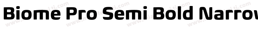 Biome Pro Semi Bold Narrow Itali字体转换